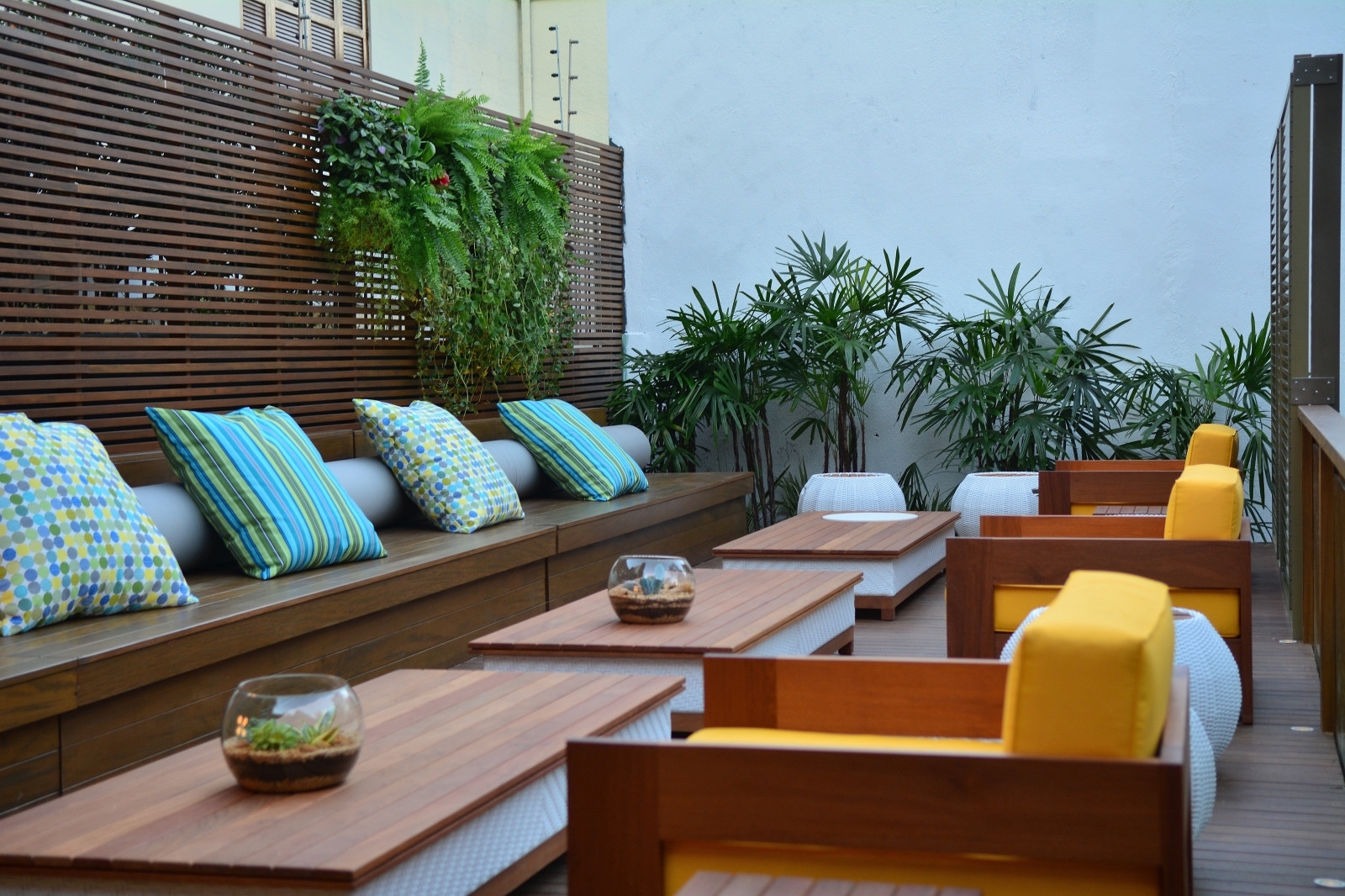 13 DECK CAFE? -PAULO HOFFMEISTER NETO 50.jpg